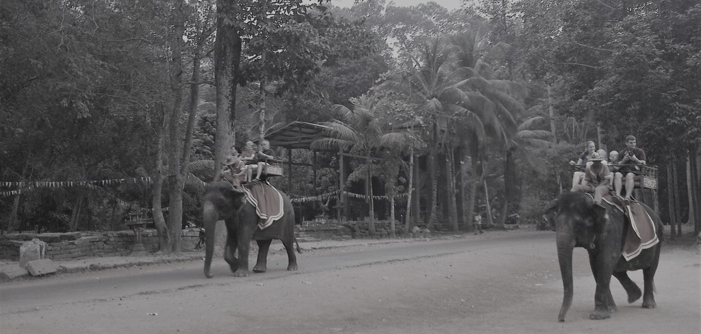 Conciencia al viajar: Ser consciente de lo que&nbsp;vemos