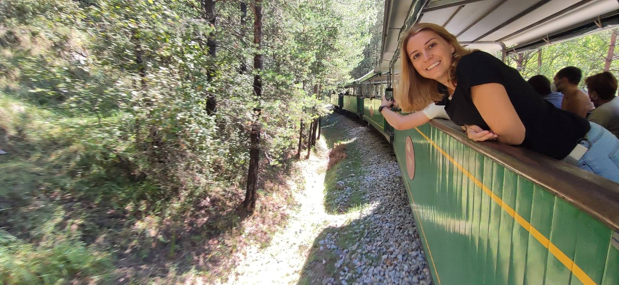 Tren del ciment Pobla de Segur
