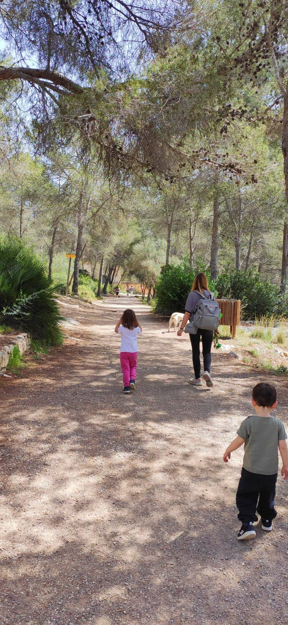 Camino al Pont del Diable