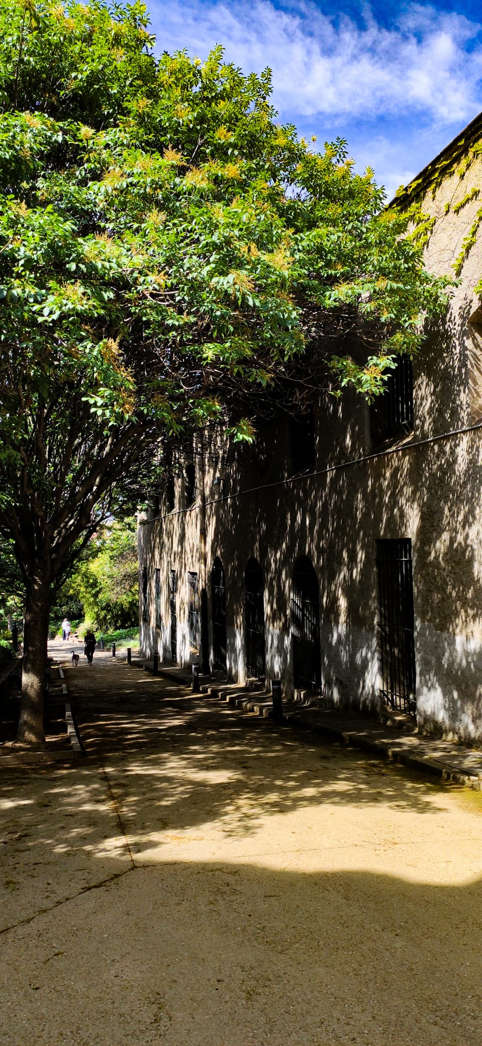 Jardins d’Alegre Sagrera de Terrassa