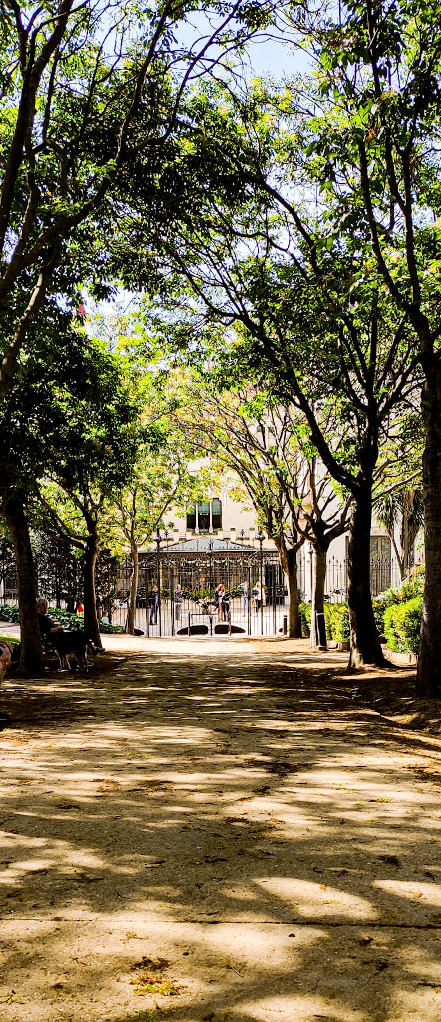 Terrassa - Casa alegret