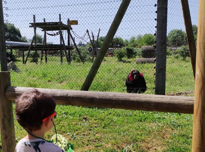 Visita a la Fundació Mona: horarios, precios y&nbsp;opiniones