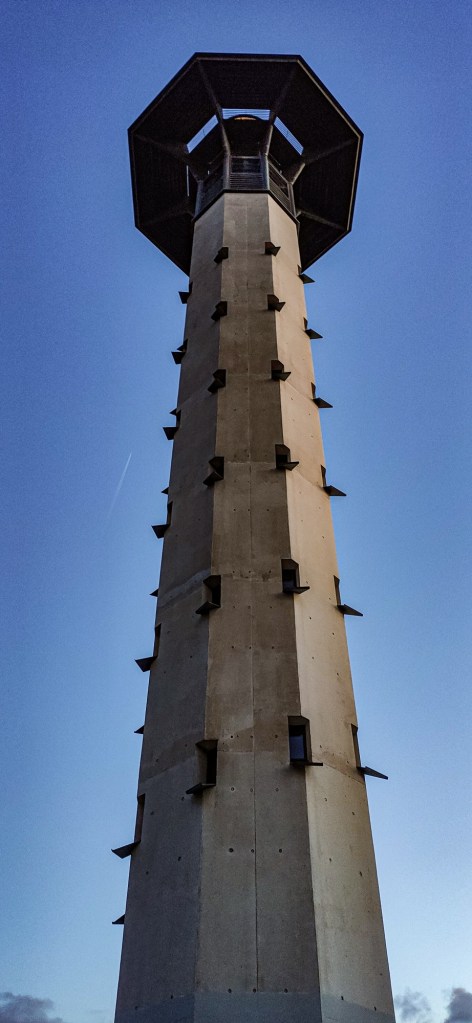Cami de ronda Torredembarra - Far contrapicat
