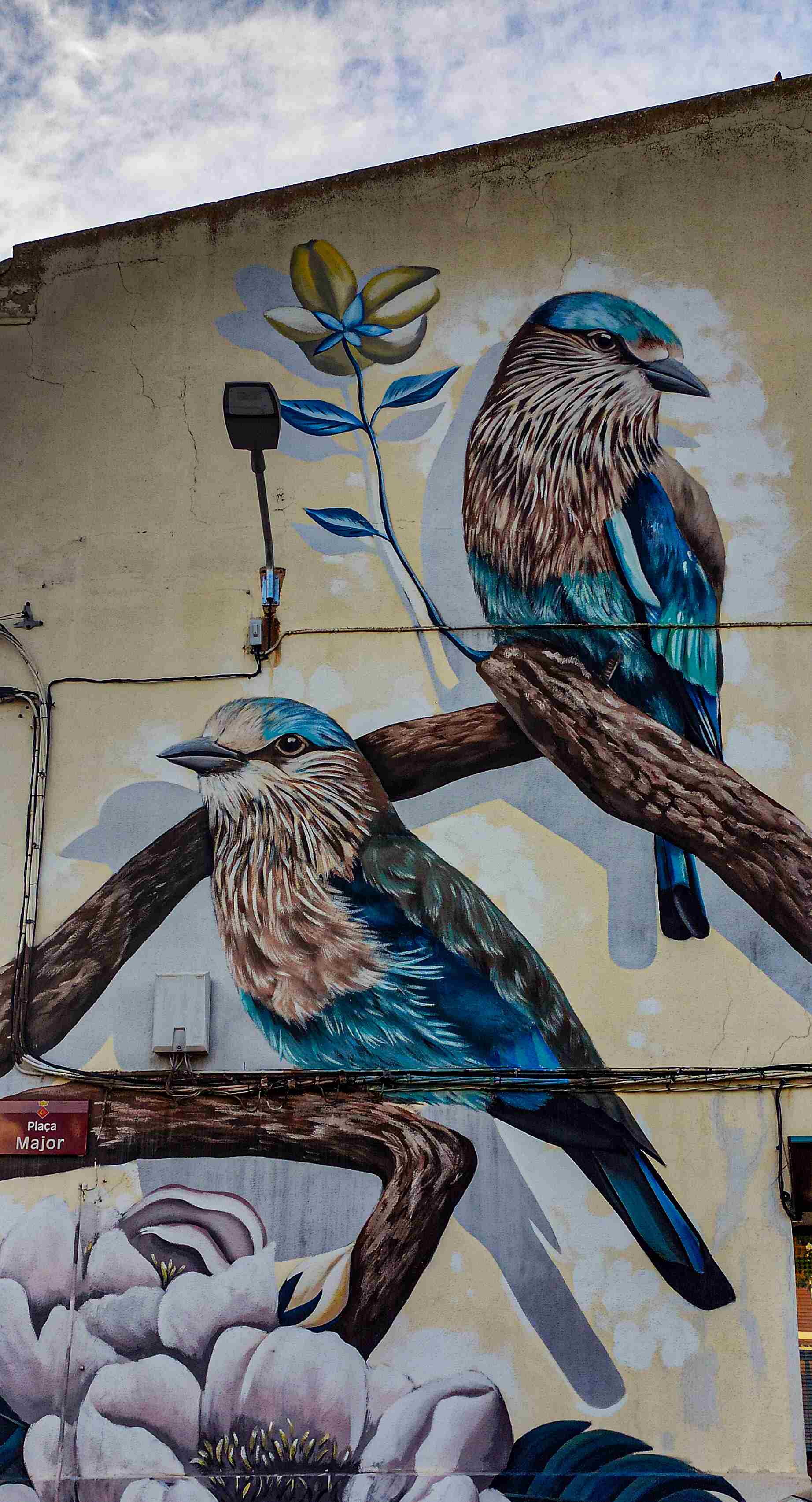 Penelles - Graffiti: Irene López León