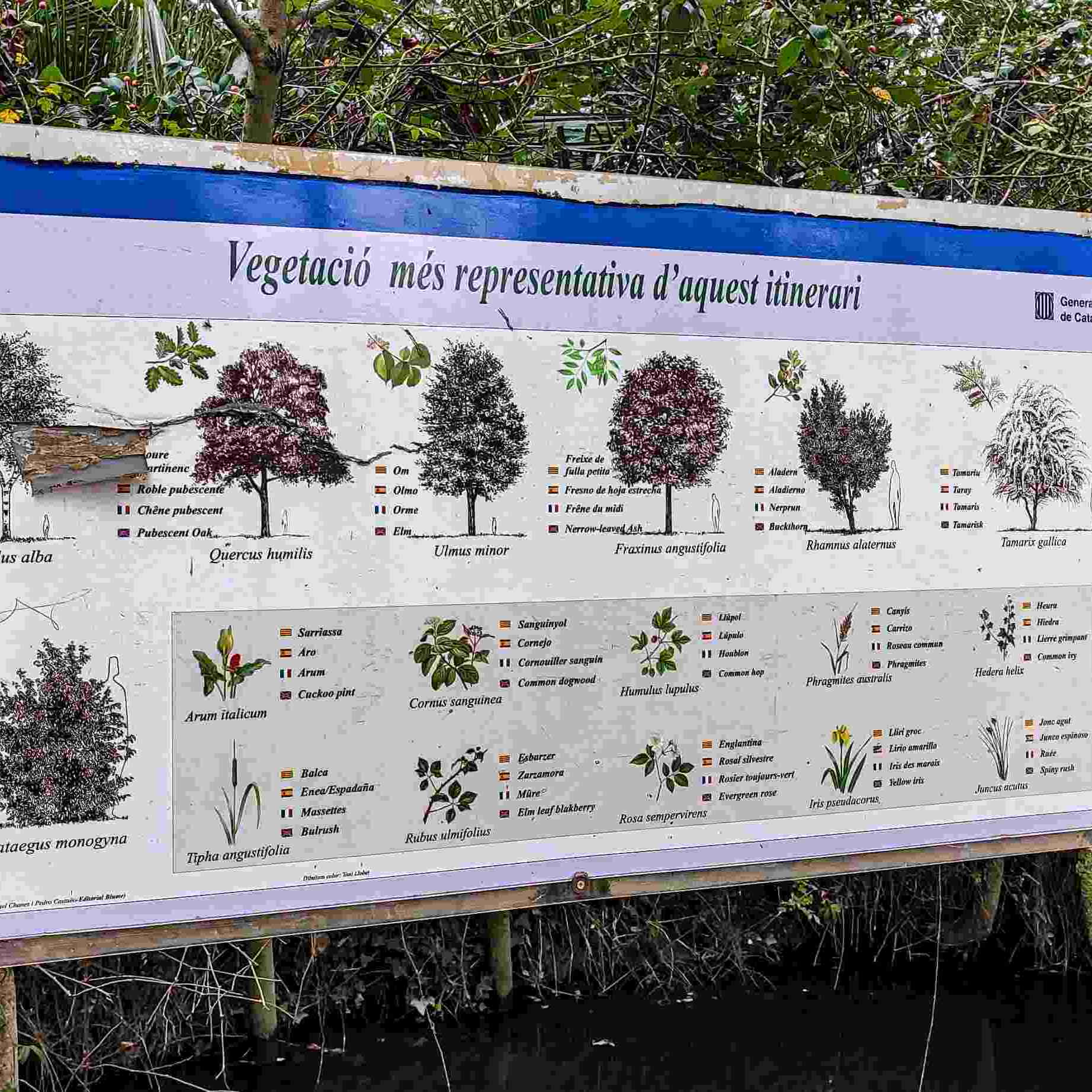 Aiguamolls Emporda carteles