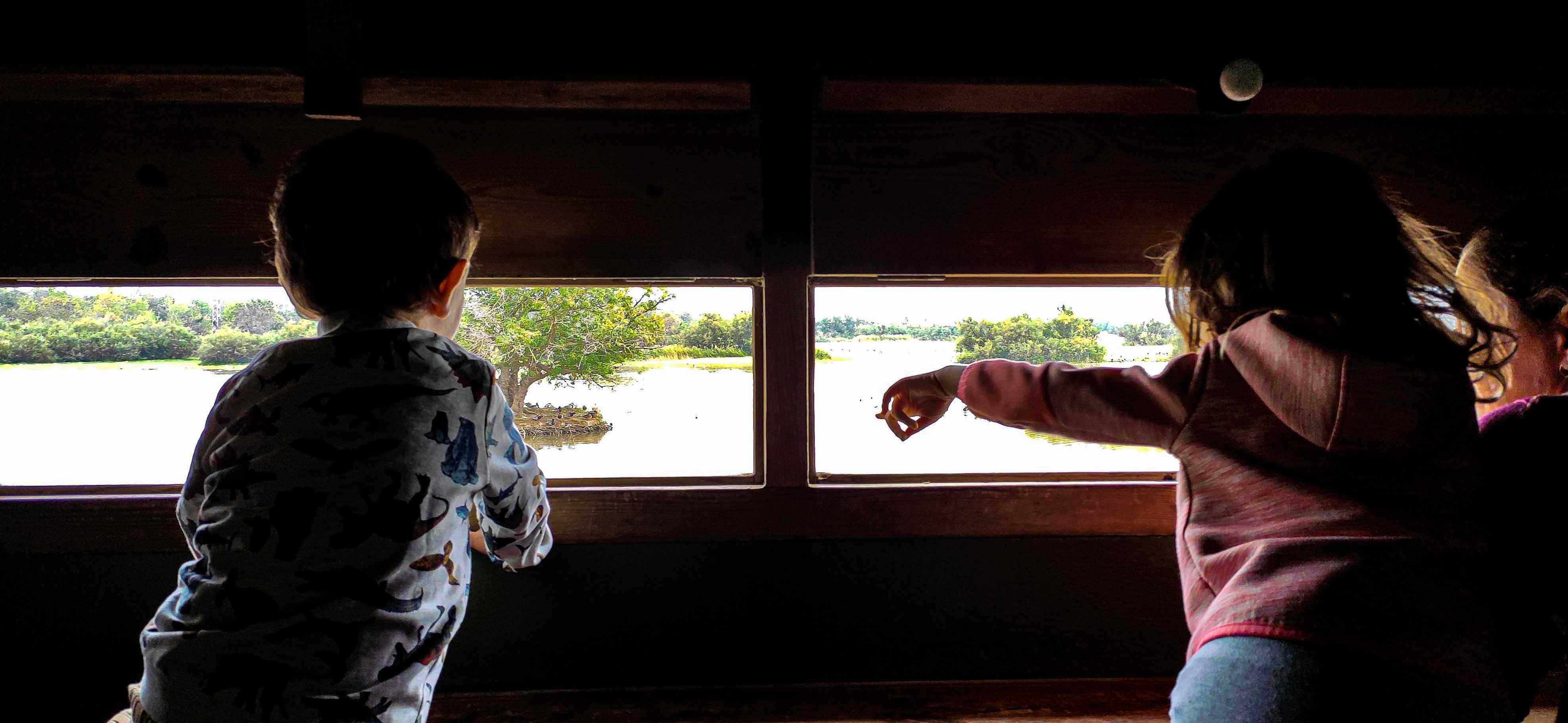 Refugi observatori aiguamolls Empordà