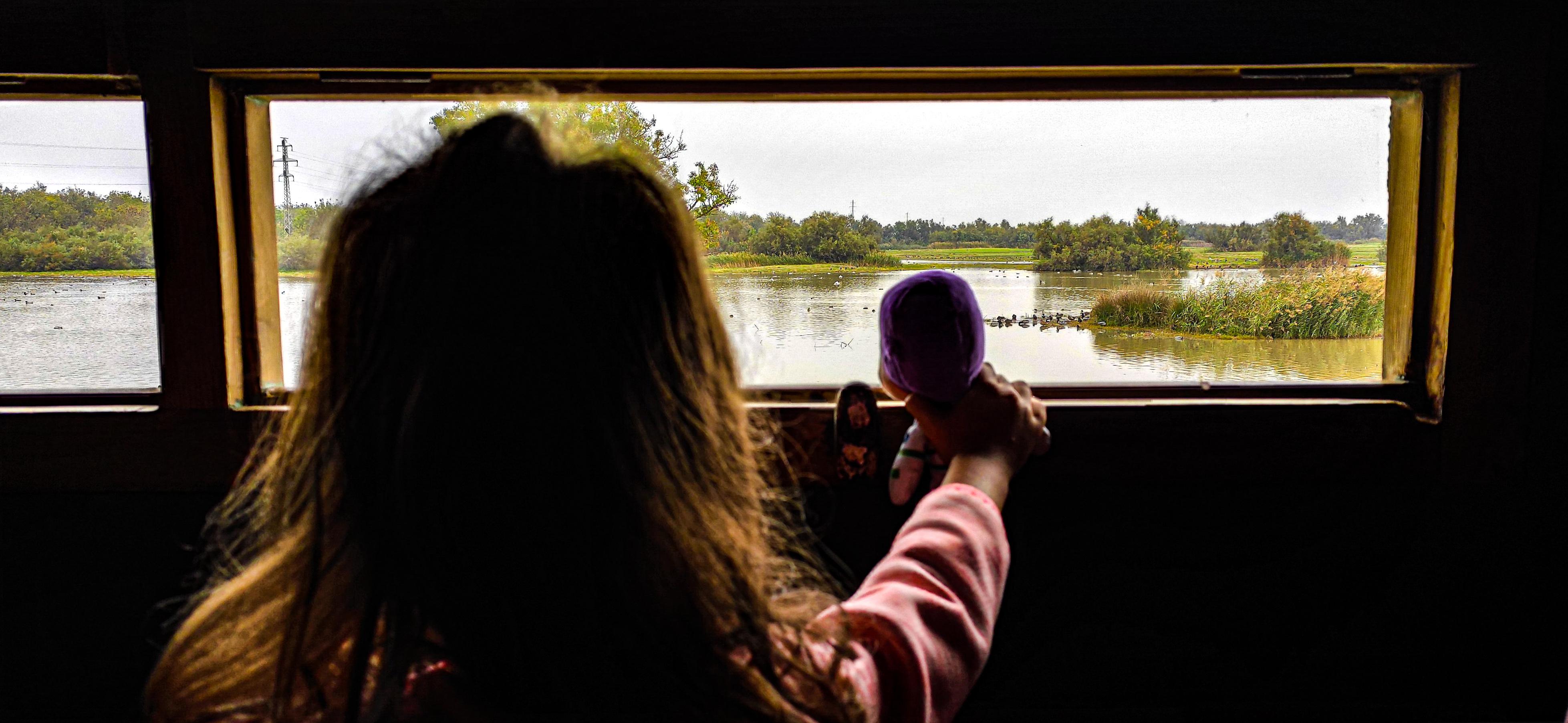 Refugi observatori aiguamolls Empordà