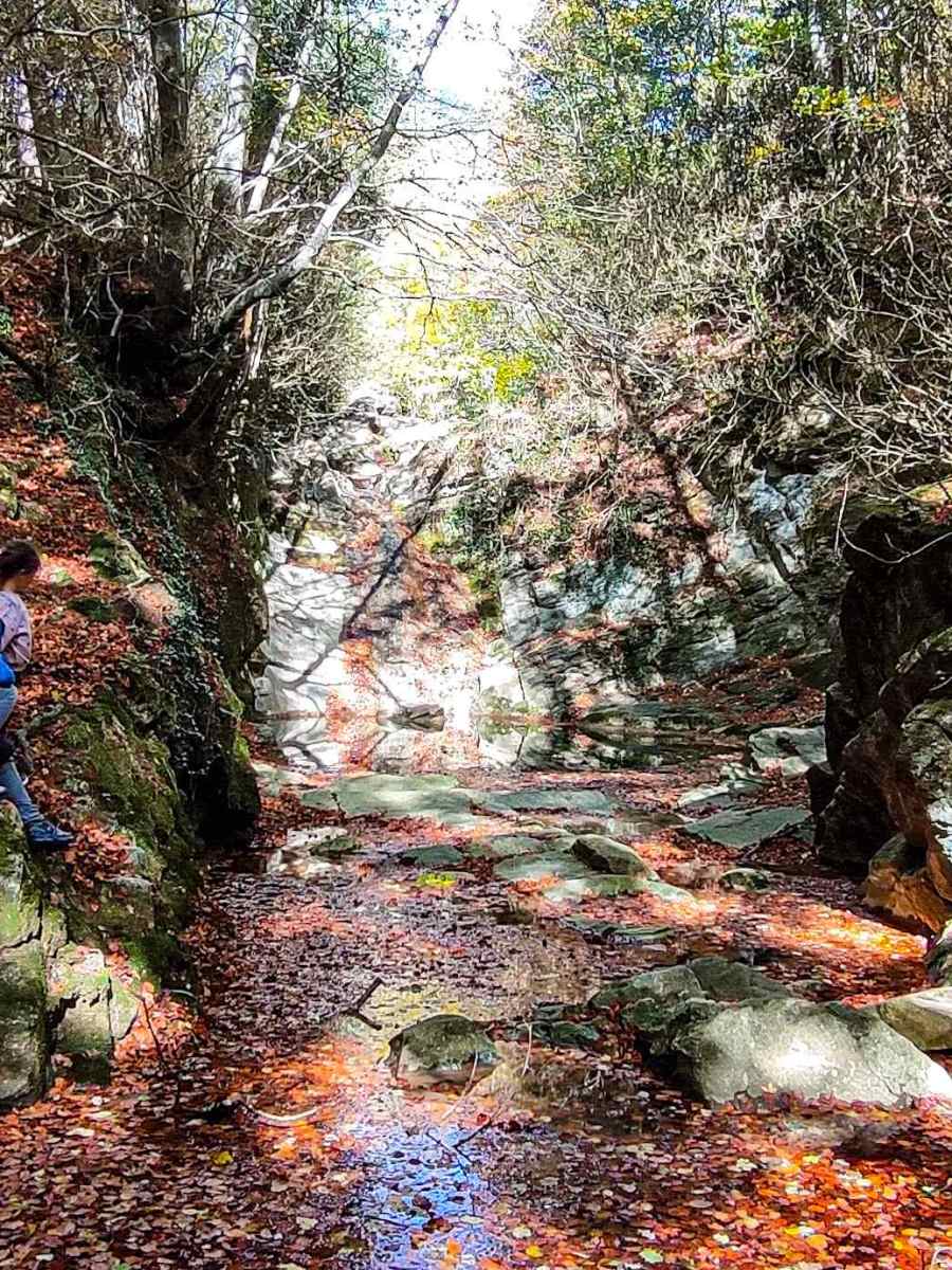 Gorg dels banyuts: excursión fácil por el&nbsp;Ripollés