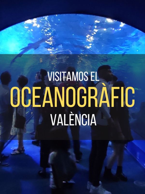 Oceanogràfic de València: opiniones y visita con&nbsp;niños