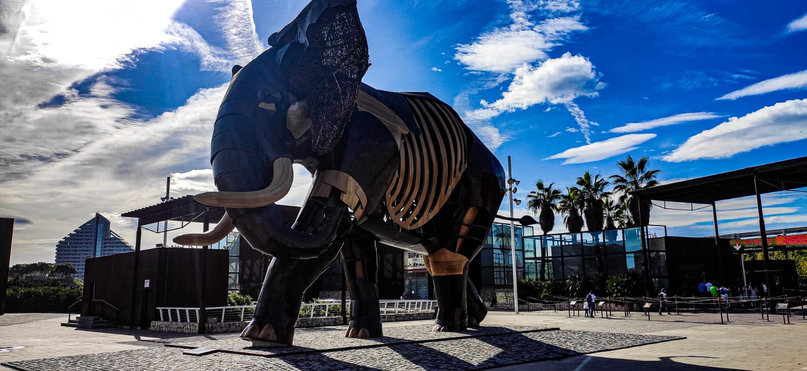 València - Bioparc - Elefante zona de acceso