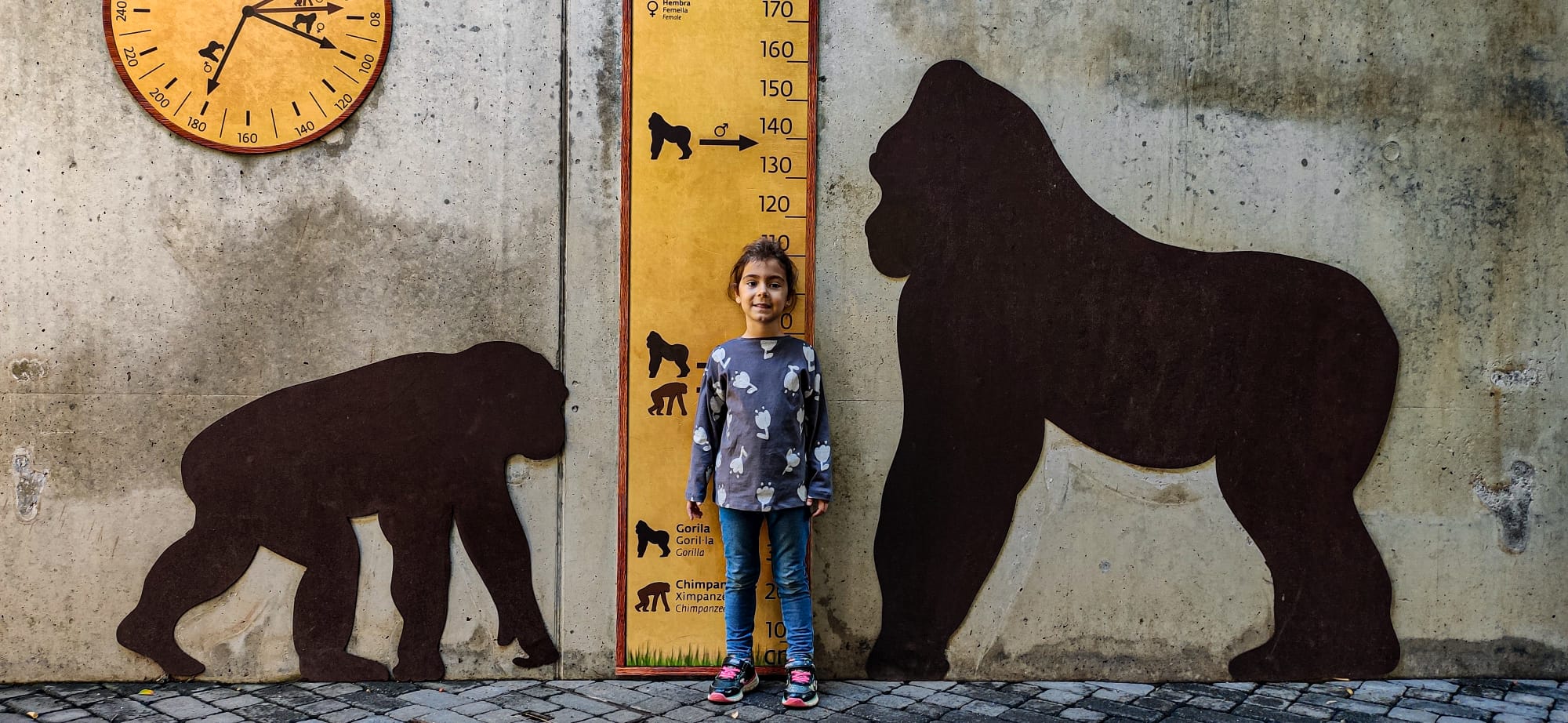 València - Bioparc - detalles de animales y decoración