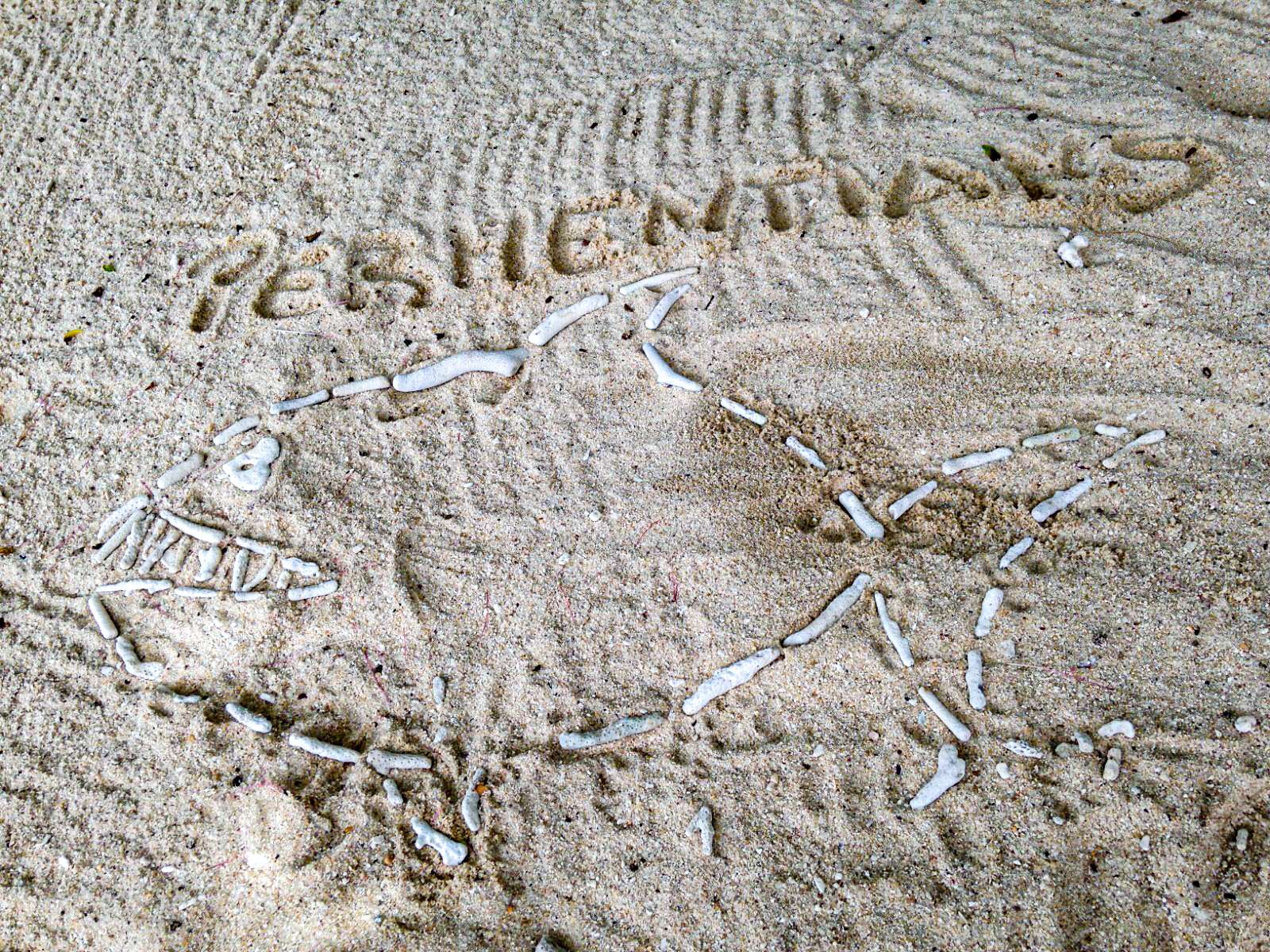 Islas Perhentian Malasia