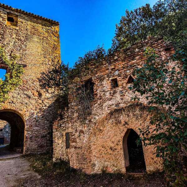 Excursió a l’Obac:&nbsp;Vacarisses