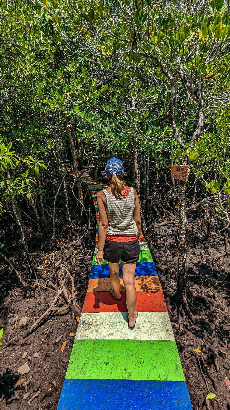 Koh Rong - Humedales