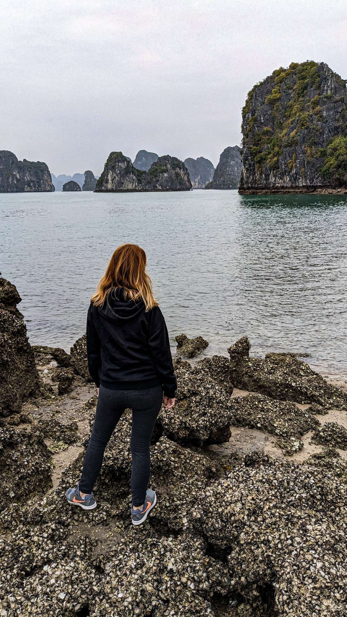 Bahia de Ha-Long (Vietnam)
