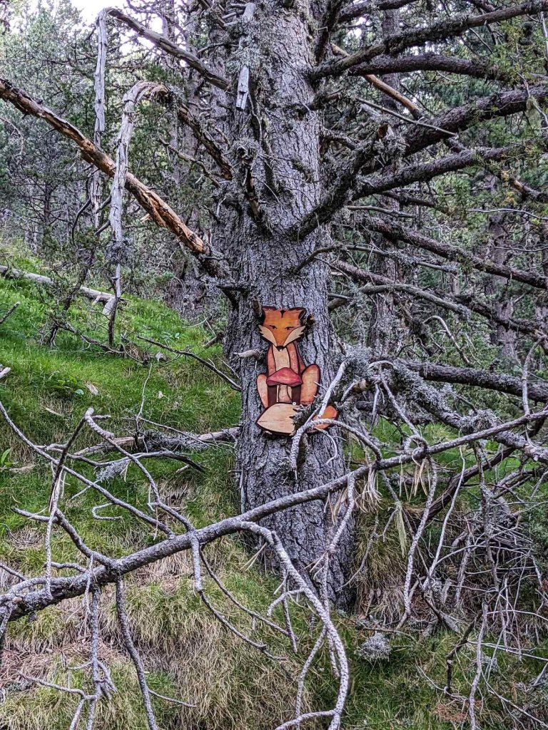 Andorra - Canillo - Ruta setas - Figura árbol