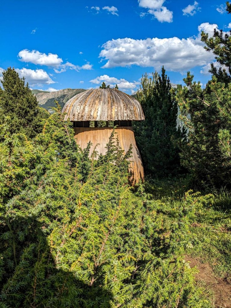 Andorra - Canillo - Ruta setas - seta