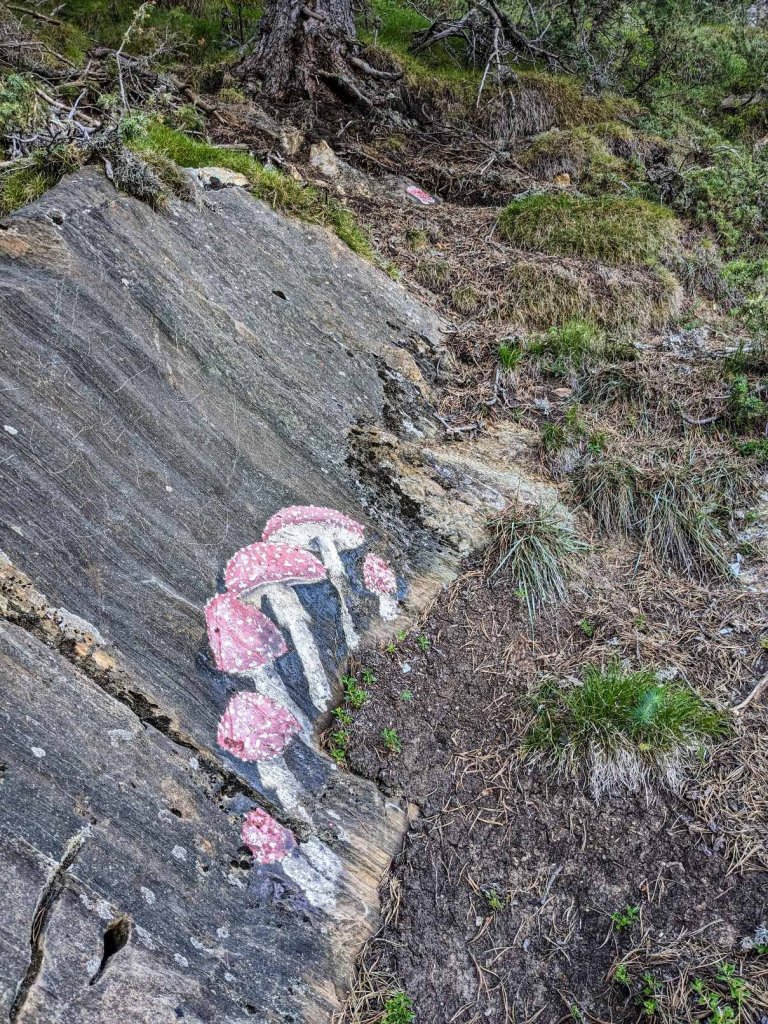 Andorra - Canillo - Ruta setas - estaciones