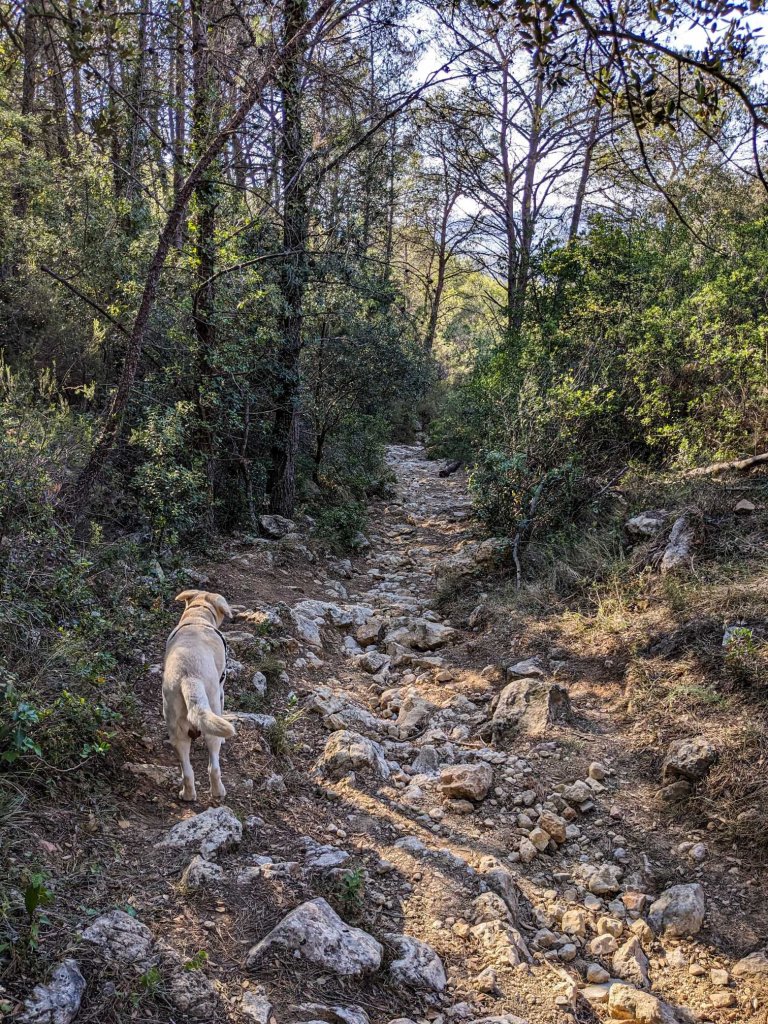 Marmellar - Baix Penedes - Ruta des de urbanització La Talaia