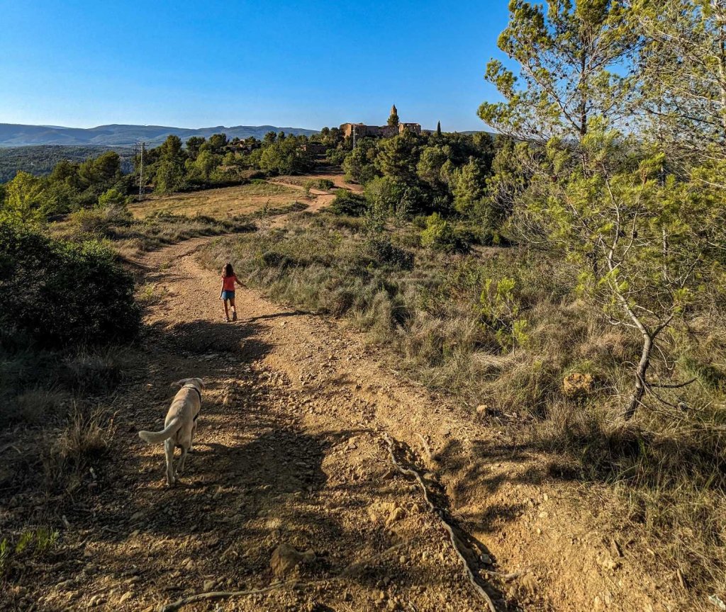 Marmellar - Baix Penedes - vista general