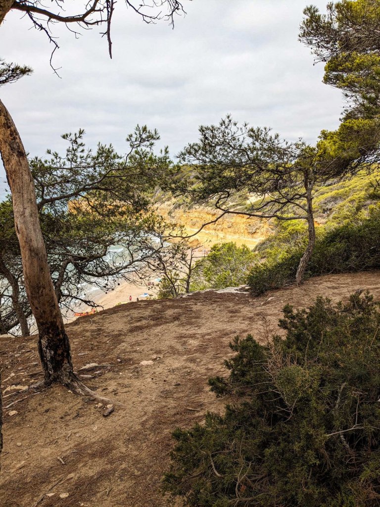 Tarragones - Cala Mora - Cala Fonda, imagen desde arriba