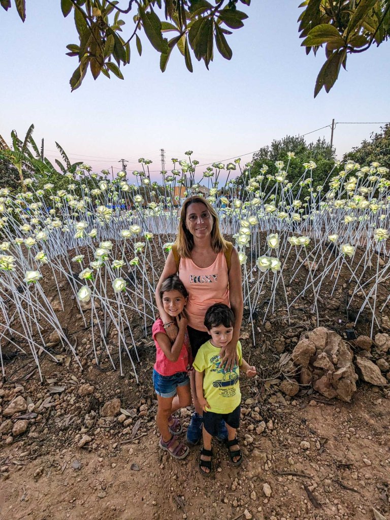 Roda de Barà - Flower Market - roses de llum