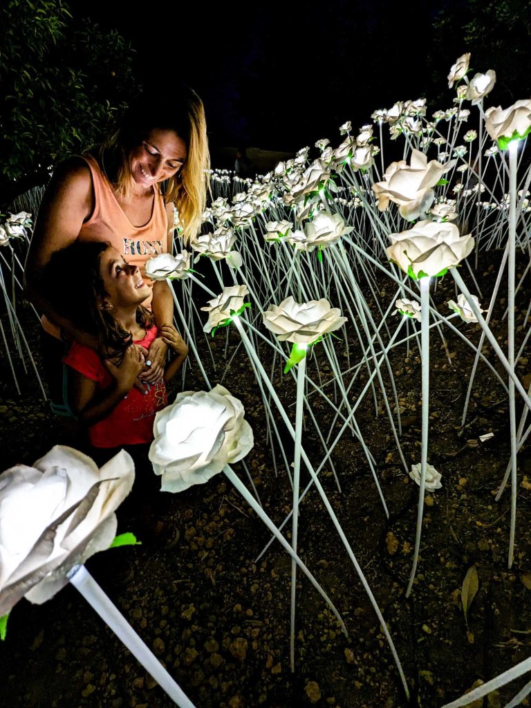 Roda de Barà - Flower Market - roses de llum