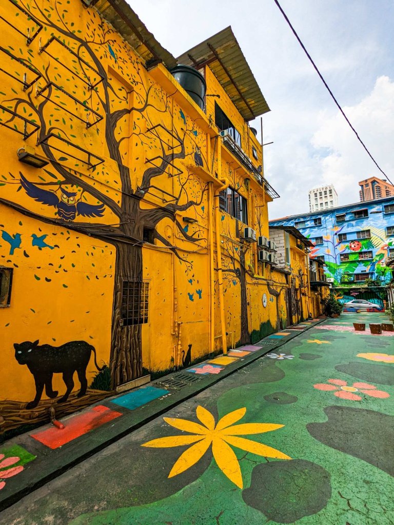 Malasia - Kuala Lumpur - ColorStreet - gato