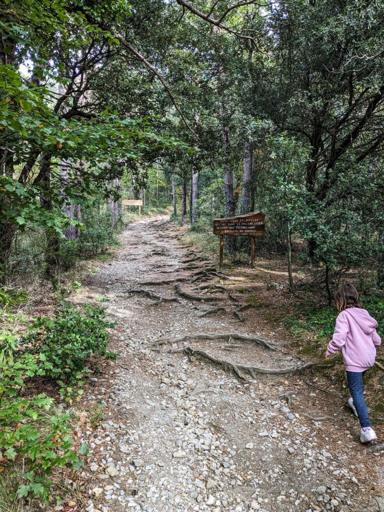 Francia - Castillo de Puilaurens - Camino de acceso