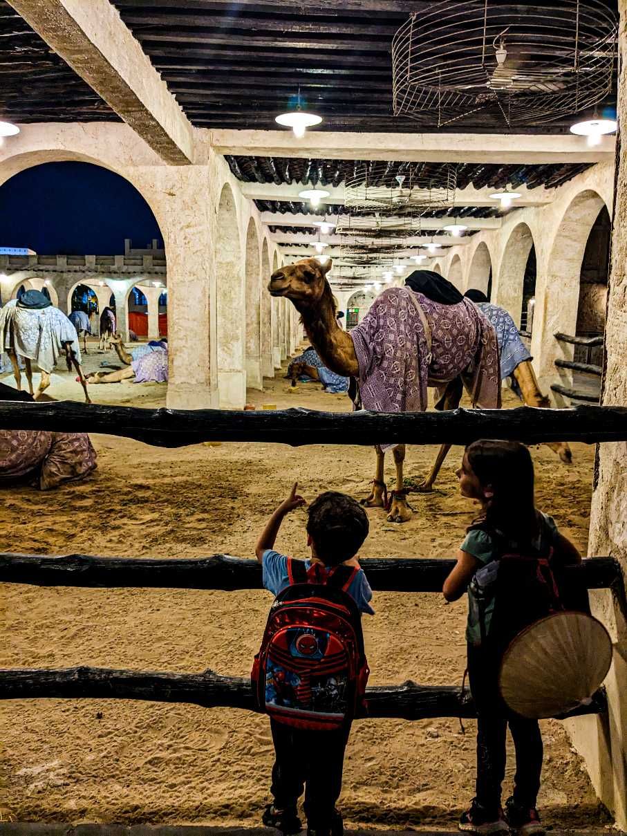 Doha - Souq Waqif - Zona donde pernoctan los camellos (o parquing)