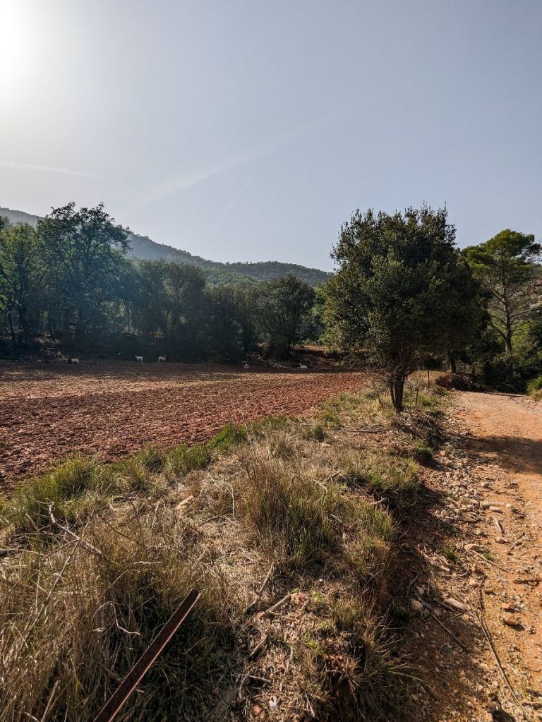 Baix Llobregat - Vallirana - Can Bogunyà - Camins rodejats de camps