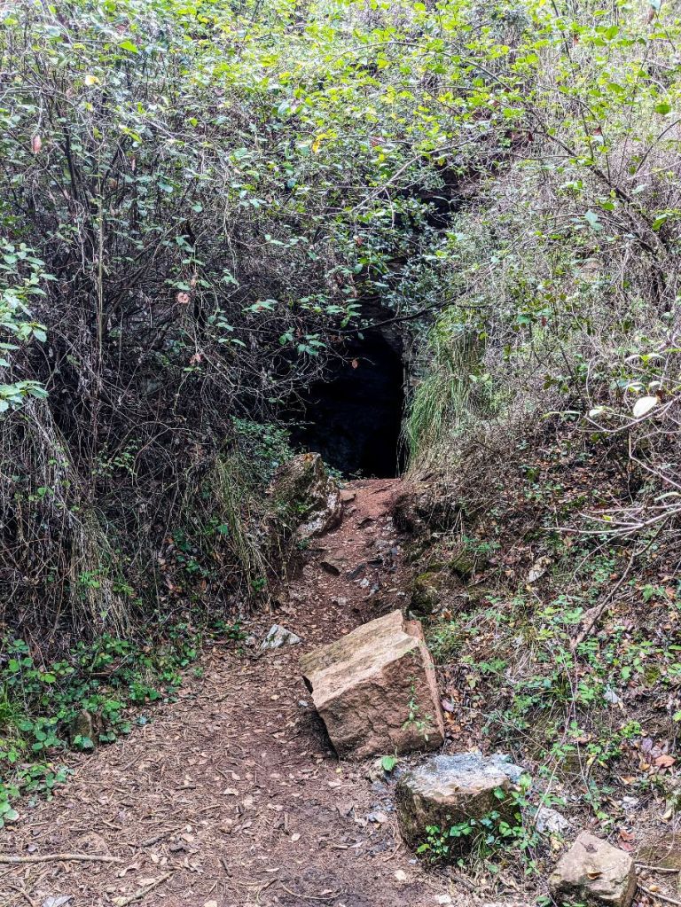 Baix Llobregat - Vallirana - Can Bogunyà - Camí d'accés a la mina