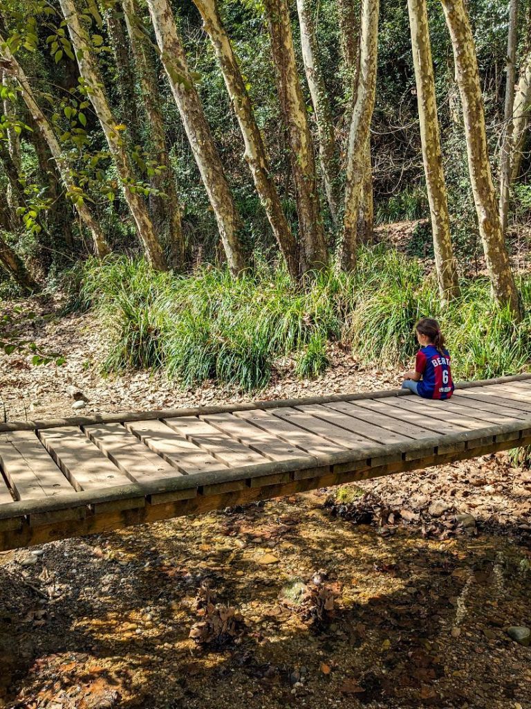 Sabadell - Torrent de Colobrers - Puentecitos sobre el torrente