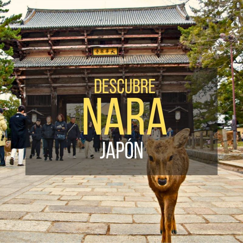 Nara: un templo rodeado de&nbsp;ciervos