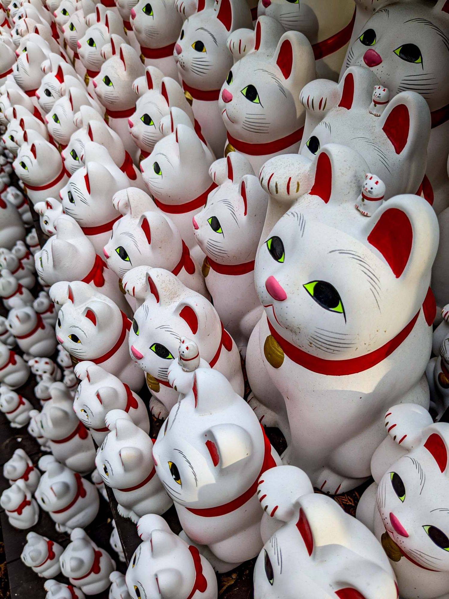 Templo de los gatos de la suerte - Kyoto