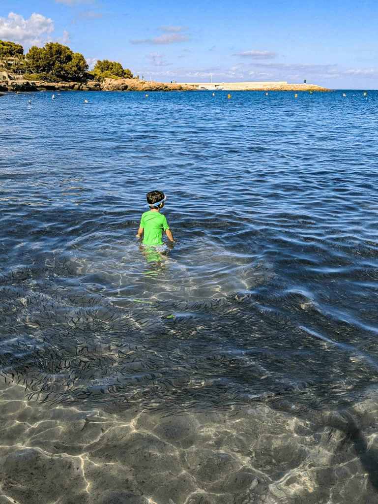 Cala Sant Jordi - Ametlla - Banco de peces con Pol