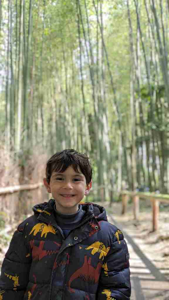 Japón - Bosque de bambú